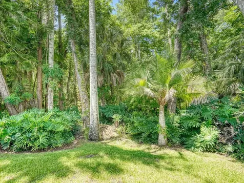 3454 Killdeer Place Palm Harbor FL 34685