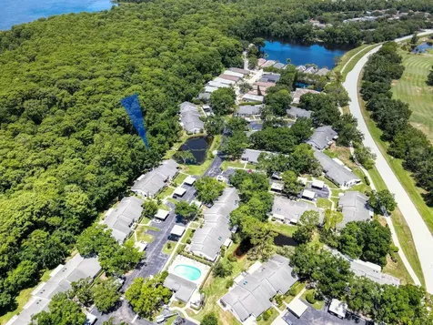 3454 Killdeer Place Palm Harbor FL 34685