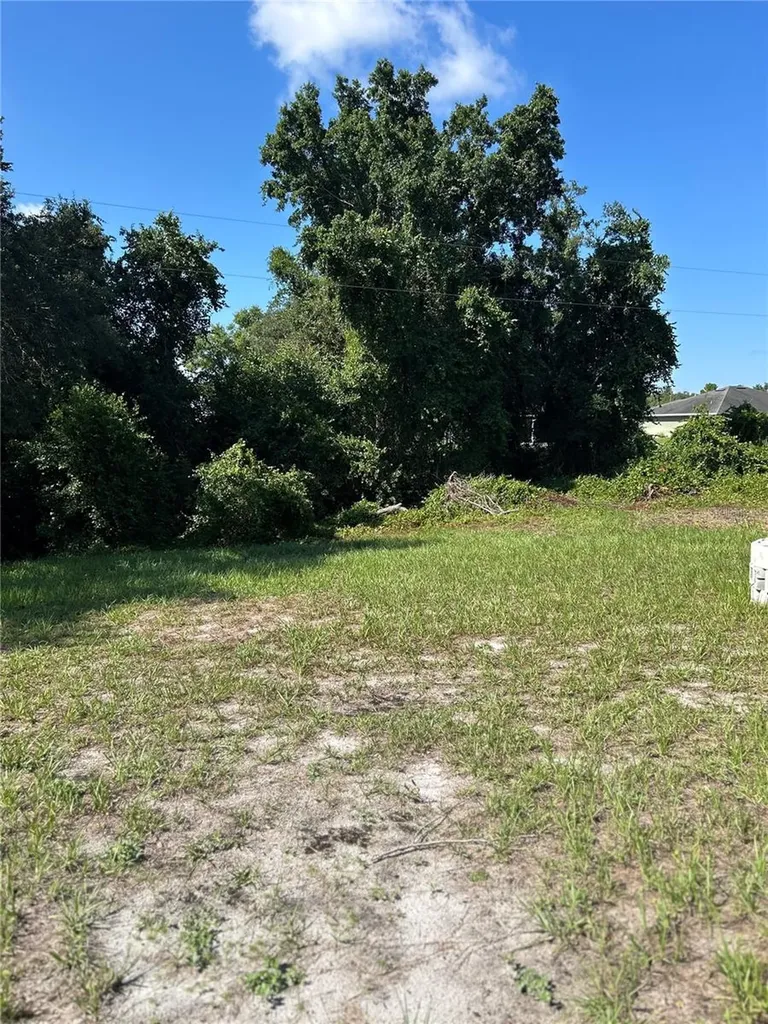 9140 Cypresswood Drive Lake Wales FL 33898