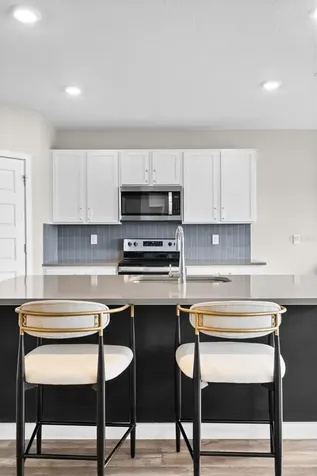 9728 Crescent Ray Drive Wesley Chapel FL 33545