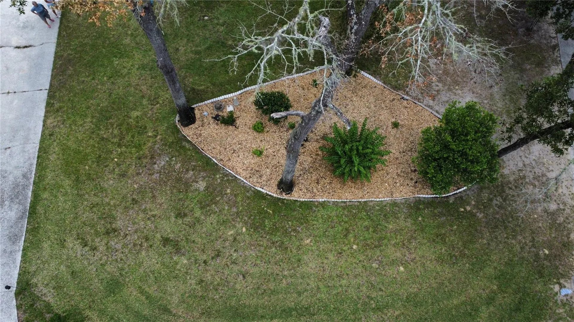 8951 SW 202nd Avenue Road Dunnellon FL 34431