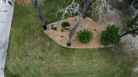 8951 SW 202nd Avenue Road Dunnellon FL 34431
