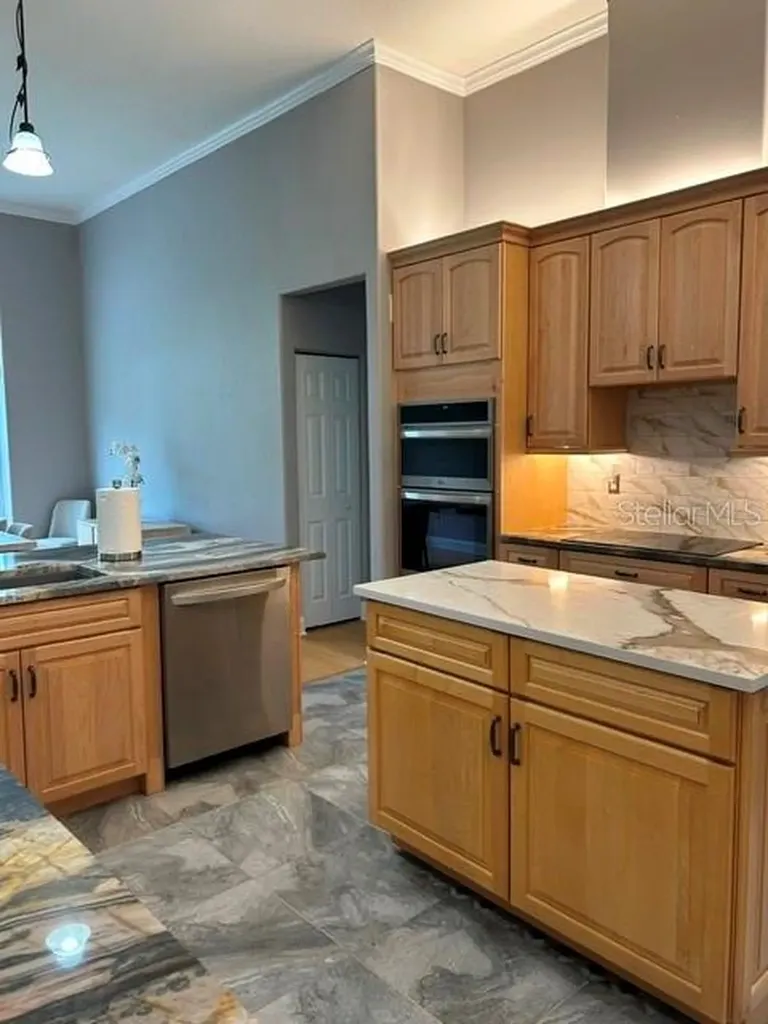 6577 SW 111th Loop Ocala FL 34476