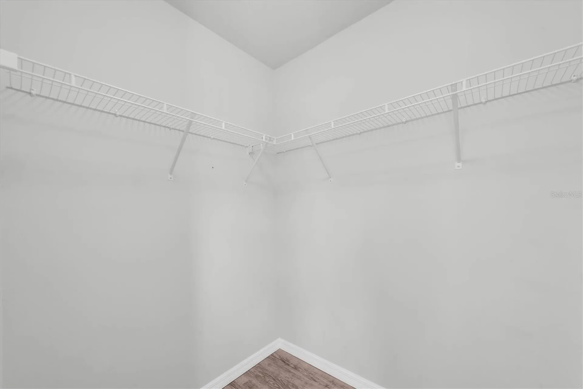 4958 White Sanderling Court Tampa FL 33619