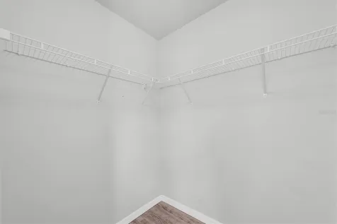 4958 White Sanderling Court Tampa FL 33619