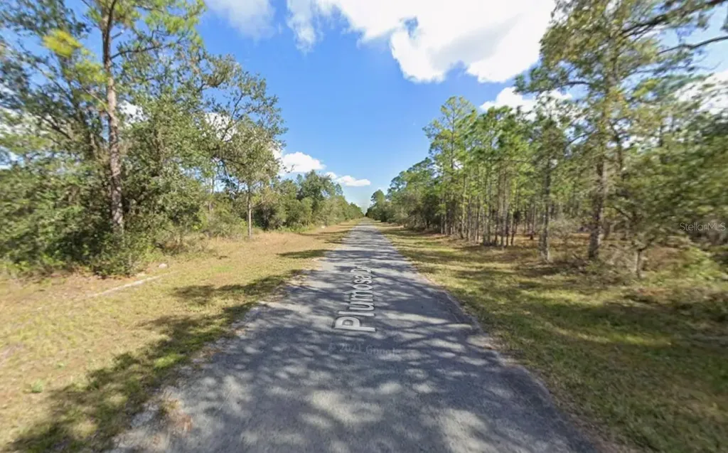 Plumosa Drive Indian Lake Estates FL 33855