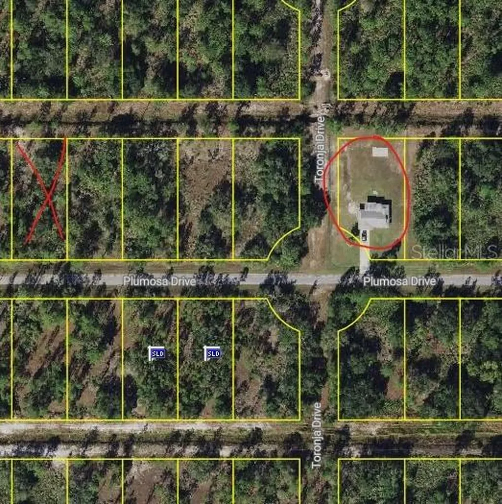 Plumosa Drive Indian Lake Estates FL 33855