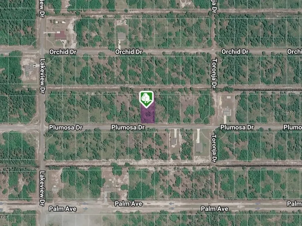 Plumosa Drive Indian Lake Estates FL 33855