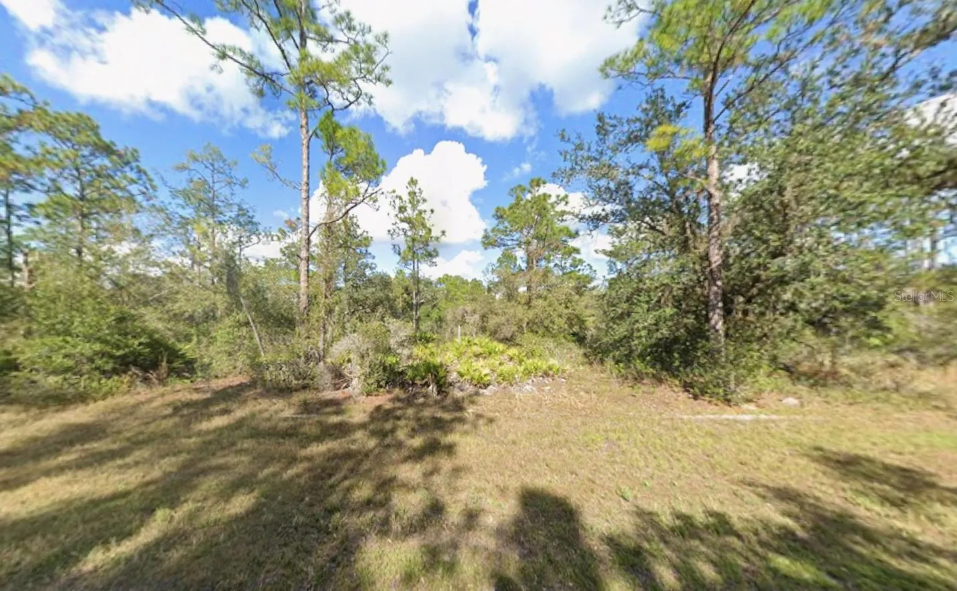 Plumosa Drive Indian Lake Estates FL 33855