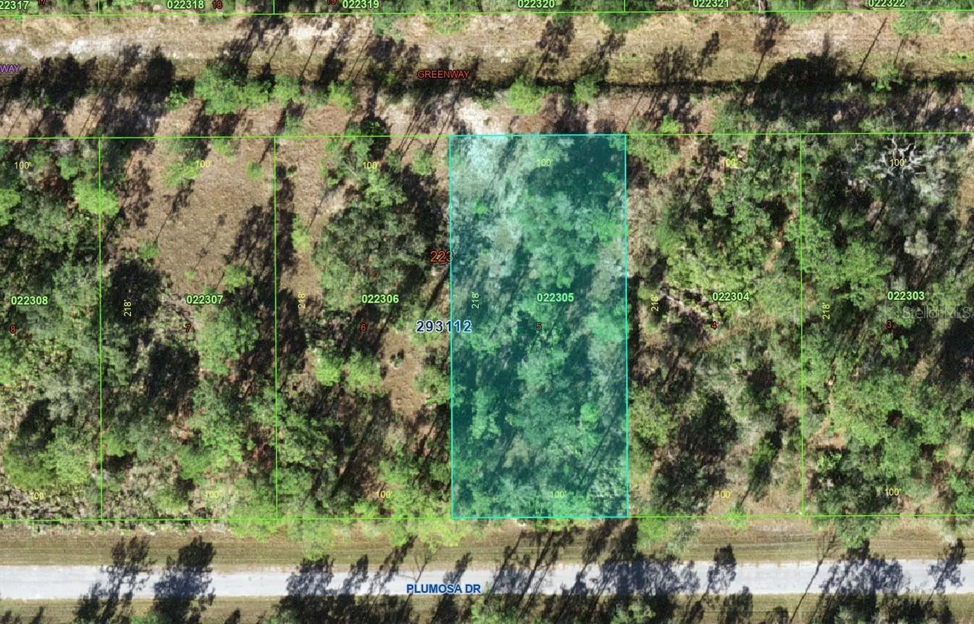 Plumosa Drive Indian Lake Estates FL 33855