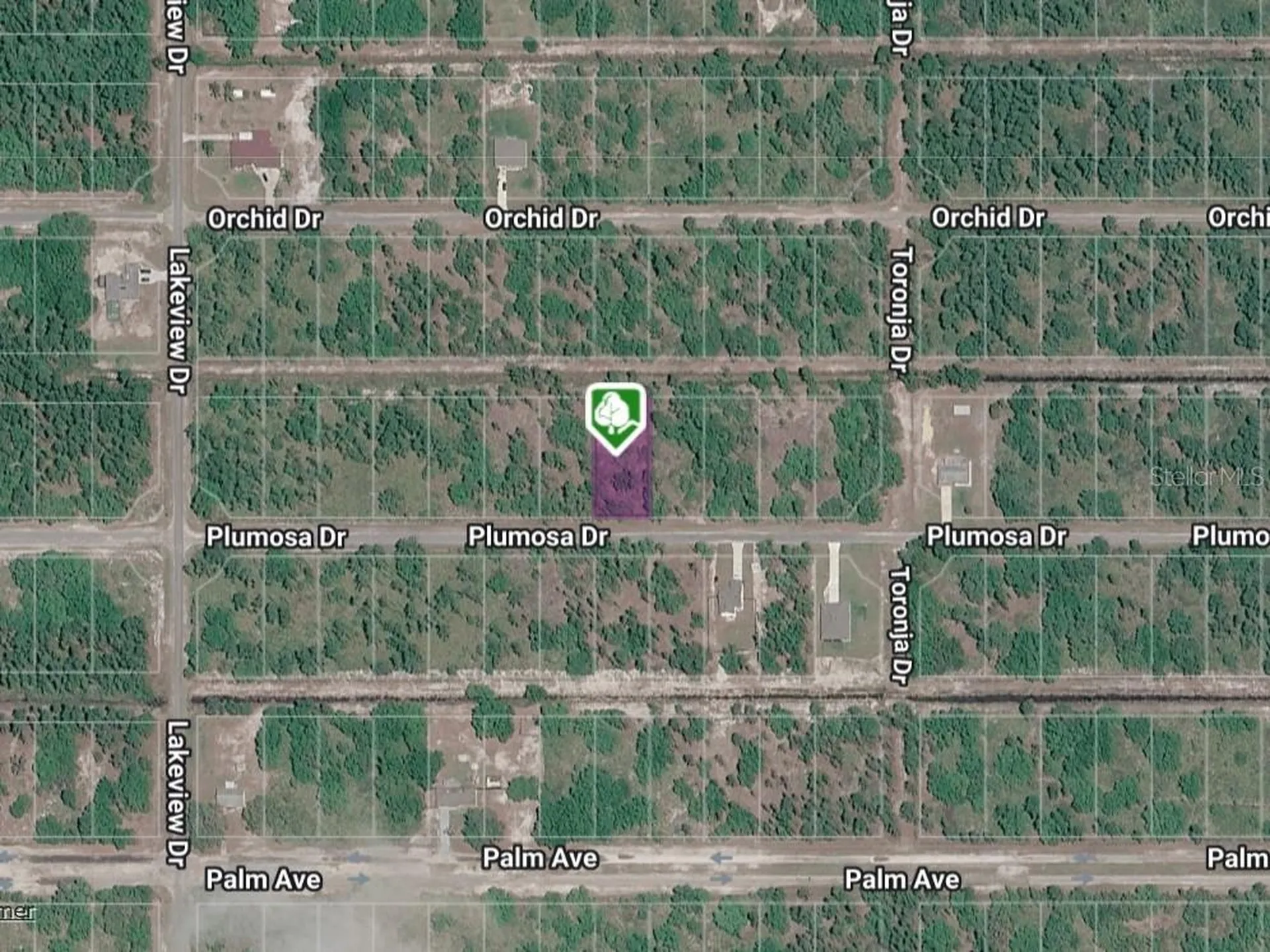 Plumosa Drive Indian Lake Estates FL 33855