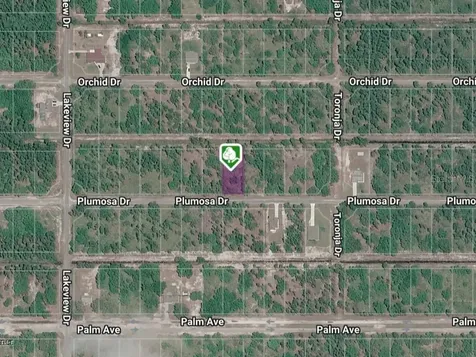 Plumosa Drive Indian Lake Estates FL 33855