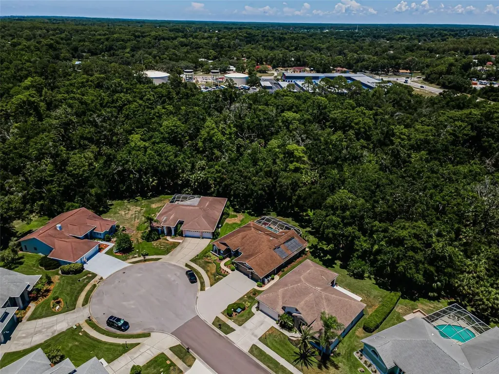 6646 Garden Palm Court New Port Richey FL 34655