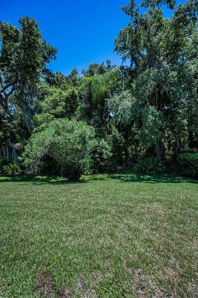 6646 Garden Palm Court New Port Richey FL 34655