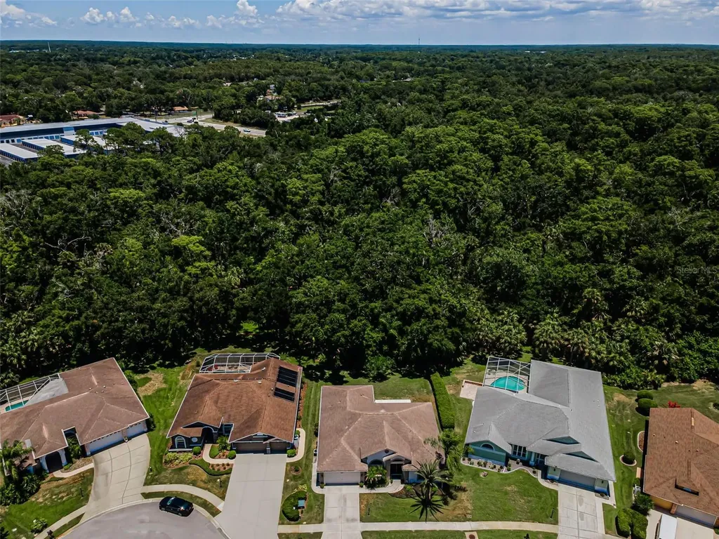 6646 Garden Palm Court New Port Richey FL 34655