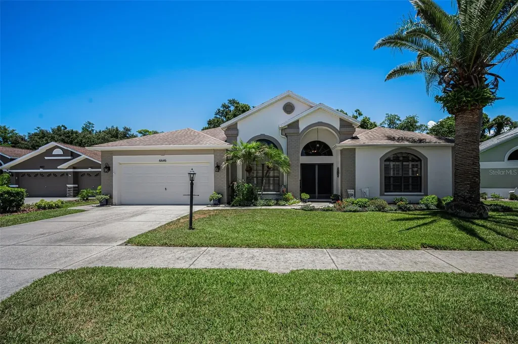 6646 Garden Palm Court New Port Richey FL 34655