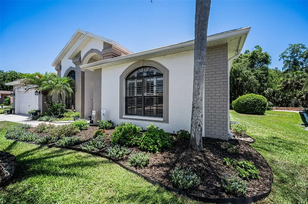 6646 Garden Palm Court New Port Richey FL 34655