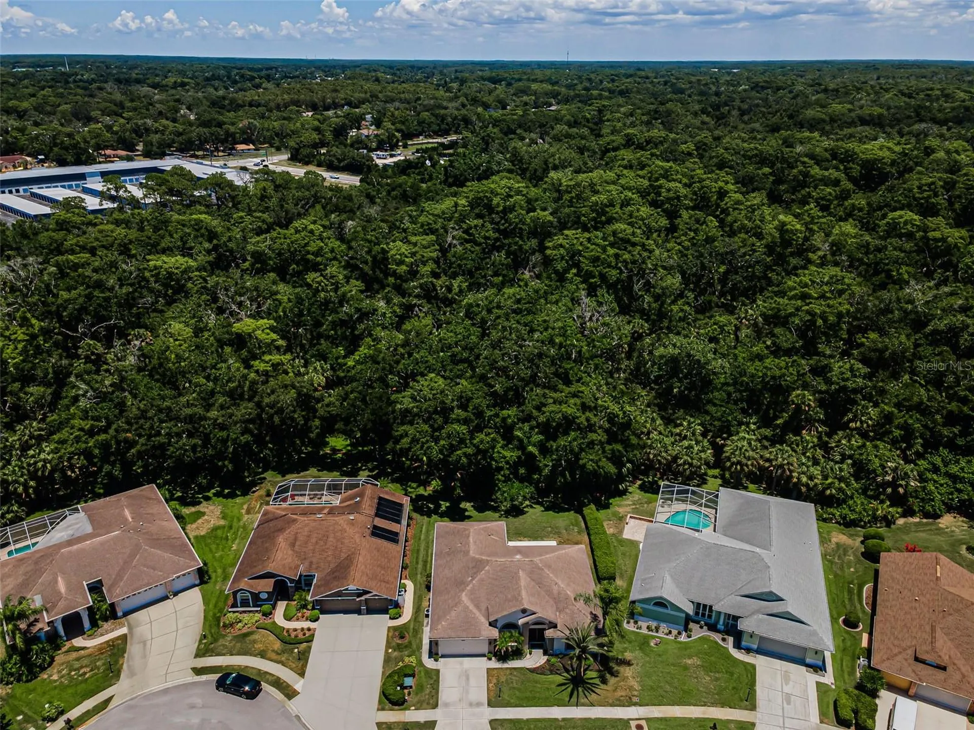 6646 Garden Palm Court New Port Richey FL 34655