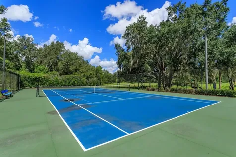 24353 Calusa Boulevard Eustis FL 32736