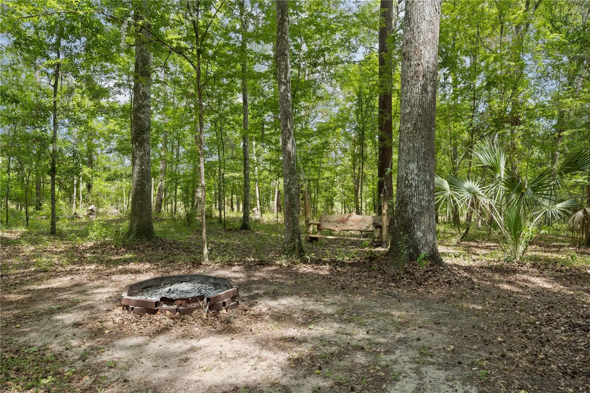 18451 NW 141st Avenue Williston FL 32696