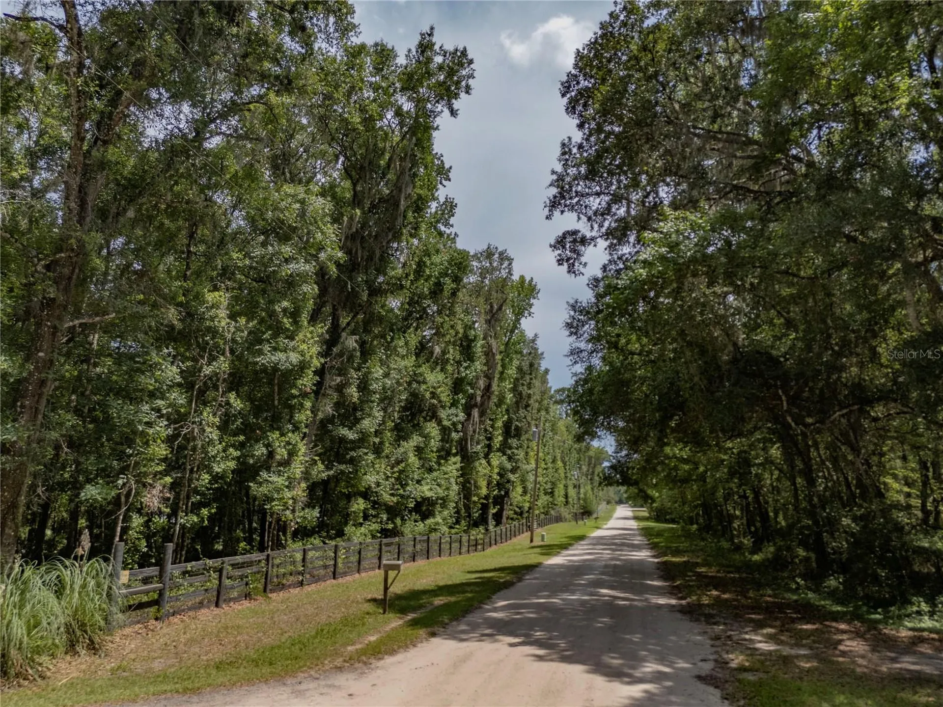 18451 NW 141st Avenue Williston FL 32696