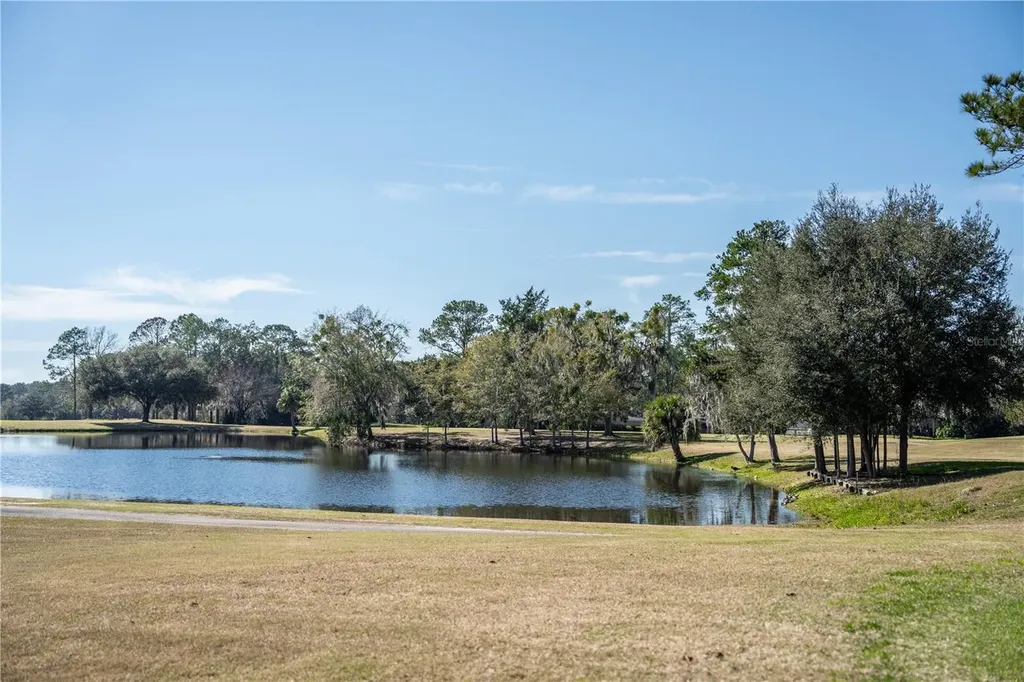 11774 NW 60th Drive Alachua FL 32615