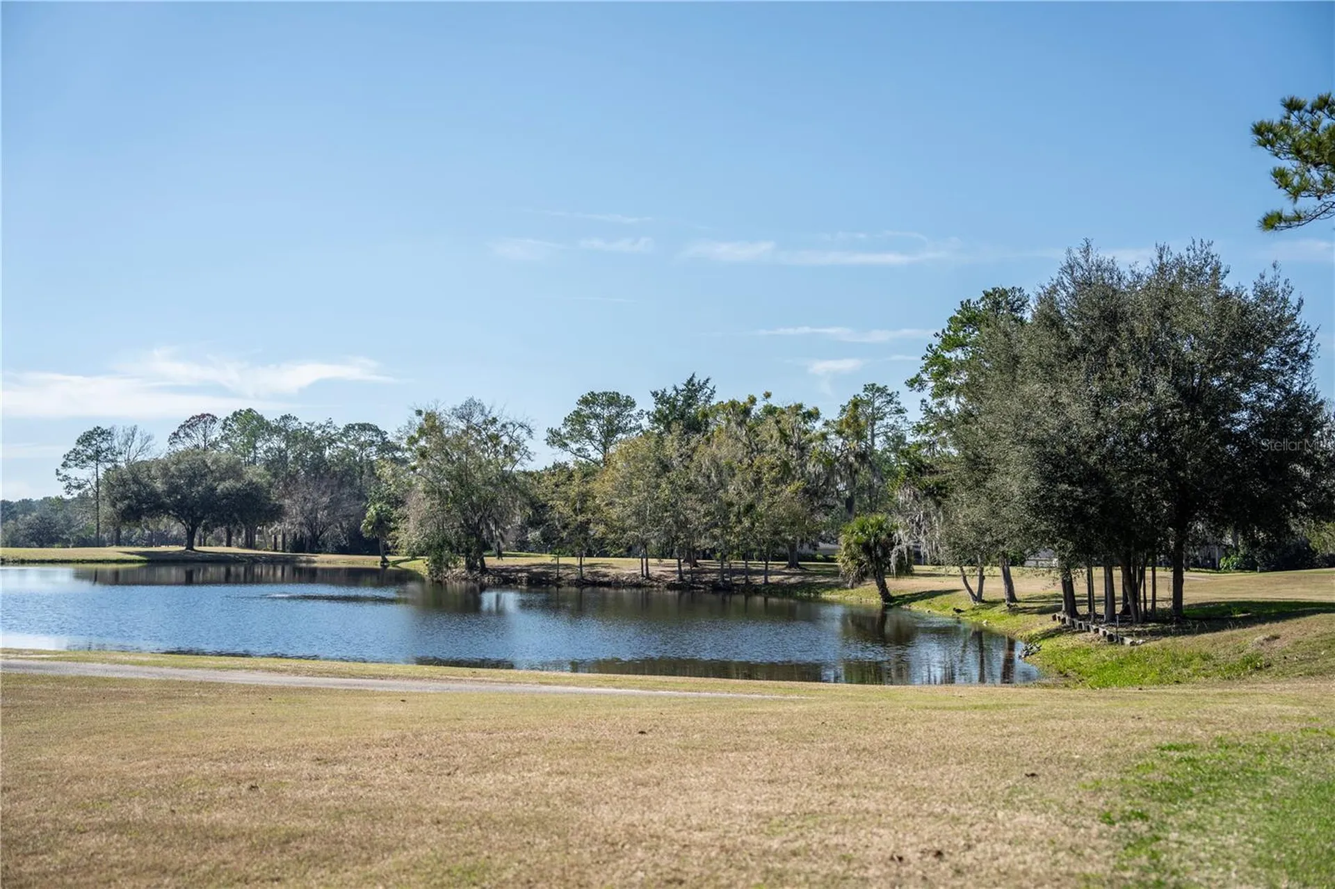 11774 NW 60th Drive Alachua FL 32615