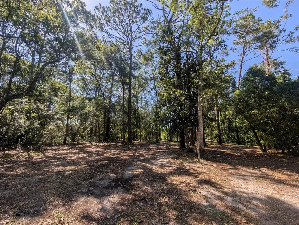 0 Jackson Avenue Brooksville FL 34604