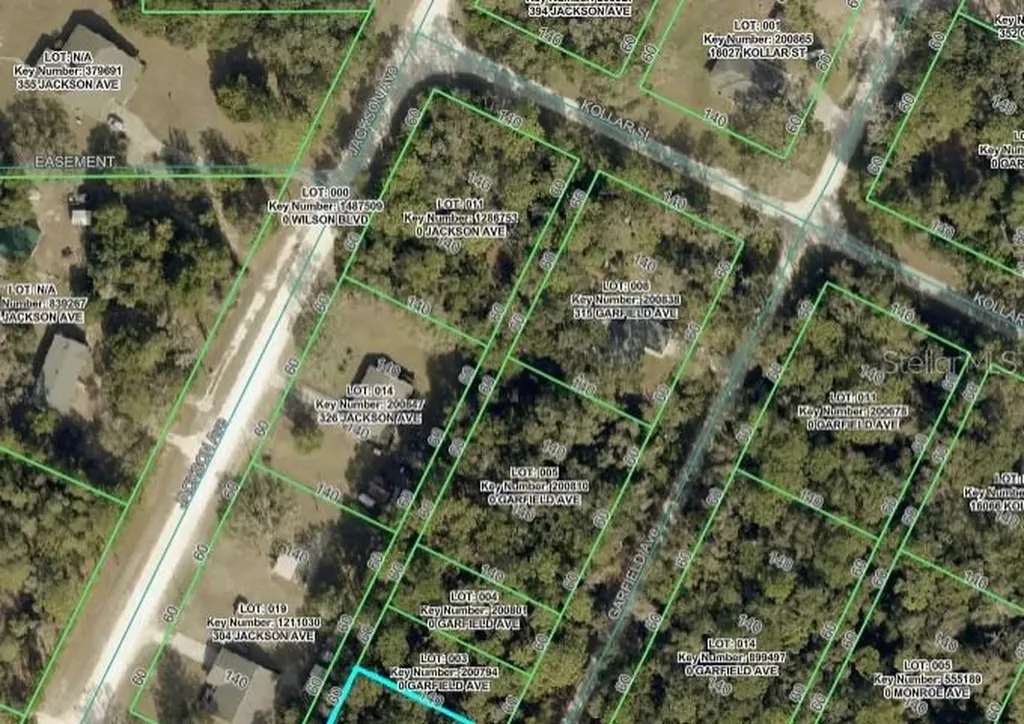 0 Jackson Avenue Brooksville FL 34604