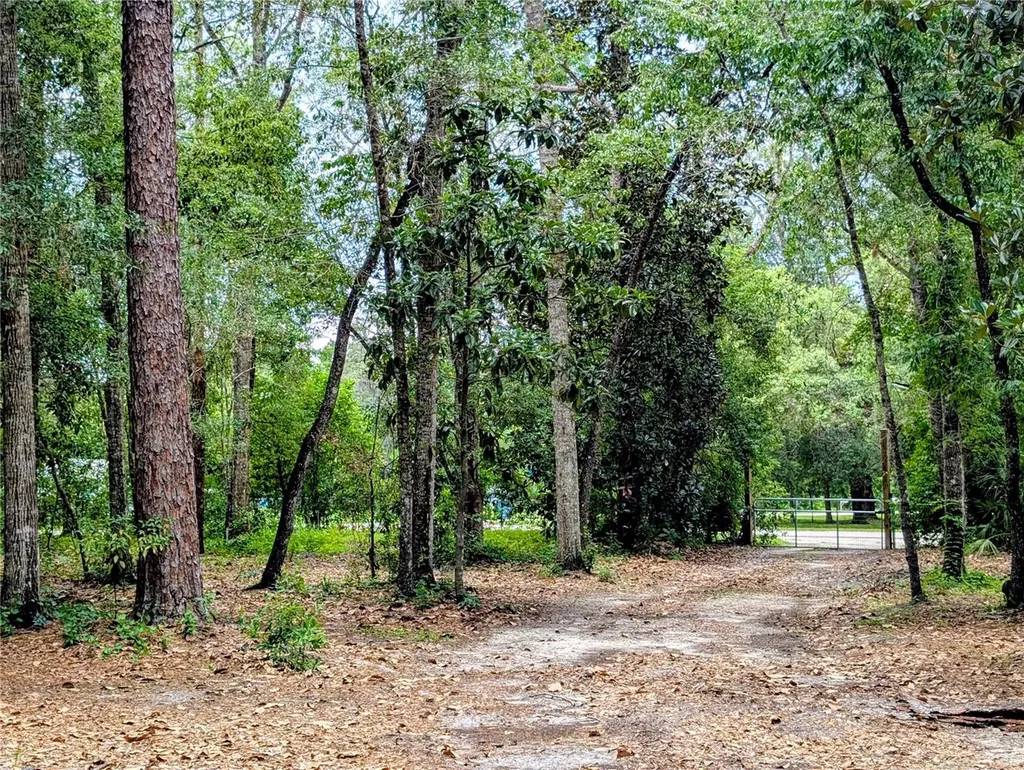 0 Jackson Avenue Brooksville FL 34604