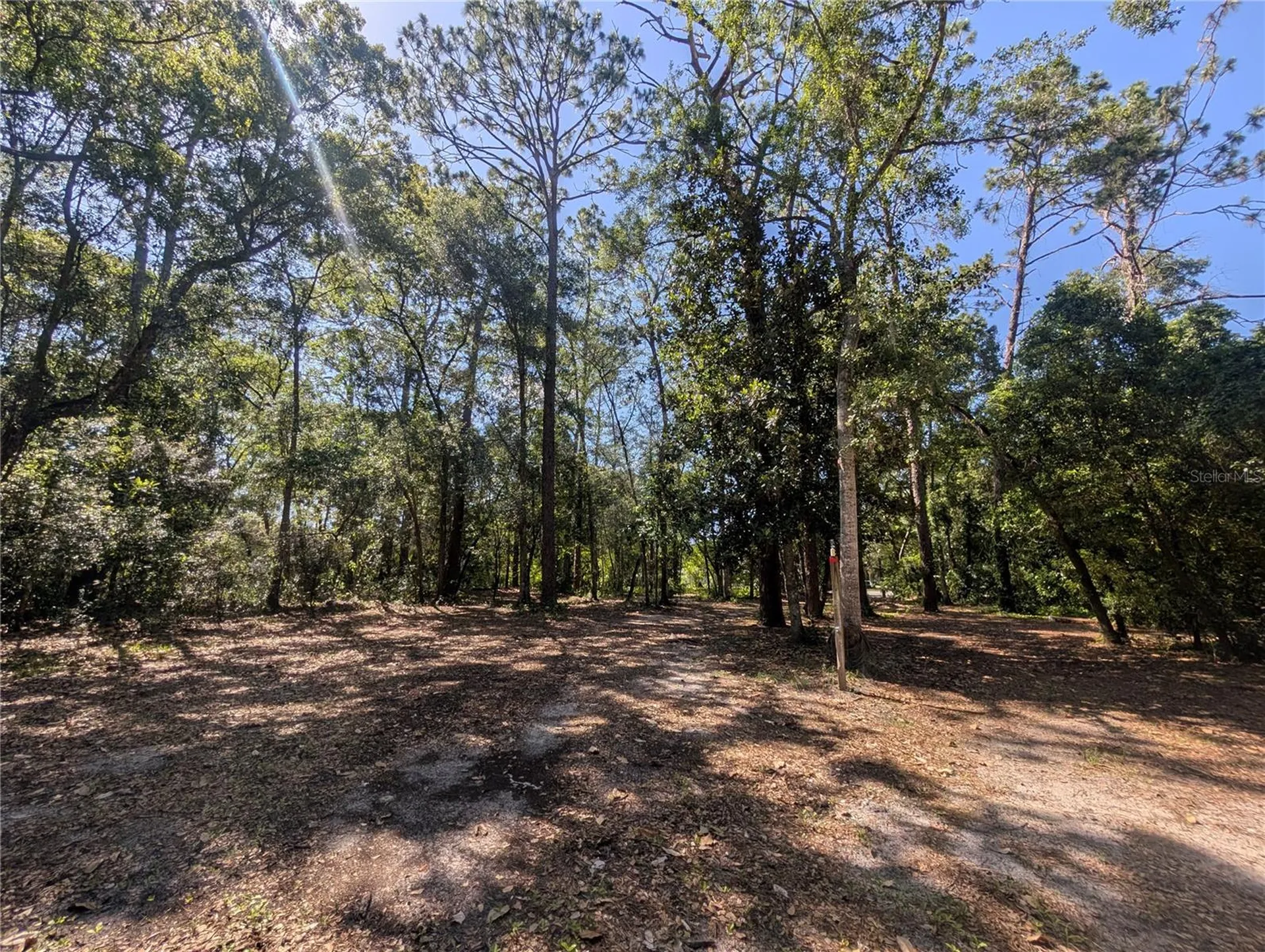 0 Jackson Avenue Brooksville FL 34604