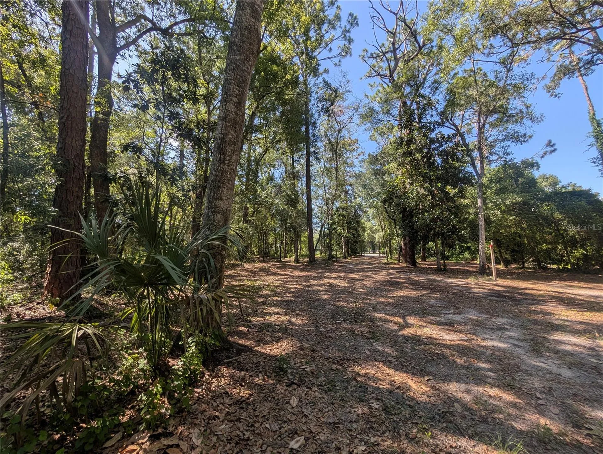 0 Jackson Avenue Brooksville FL 34604