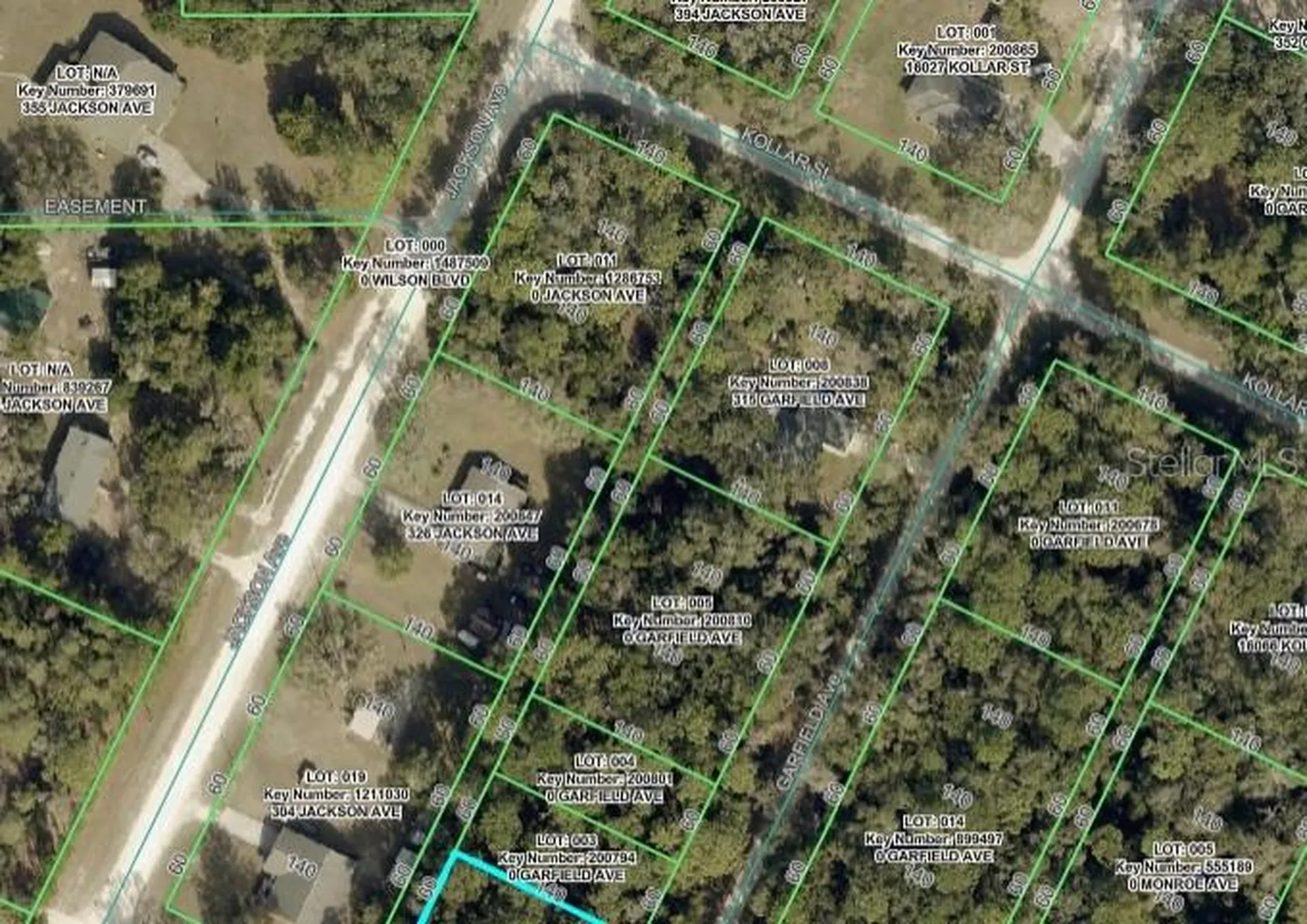 0 Jackson Avenue Brooksville FL 34604