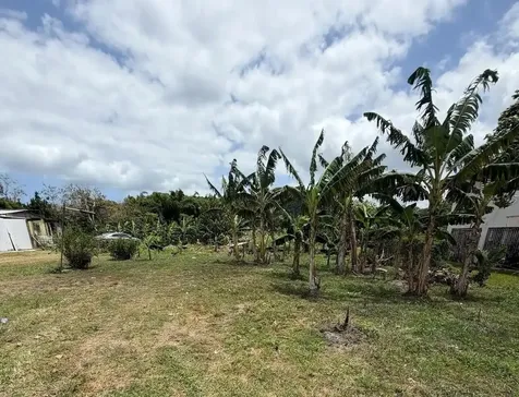 Bo. Limones Yabucoa PR 00767