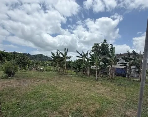 Bo. Limones Yabucoa PR 00767
