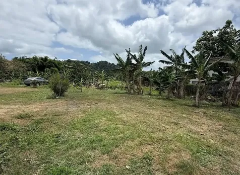 Bo. Limones Yabucoa PR 00767
