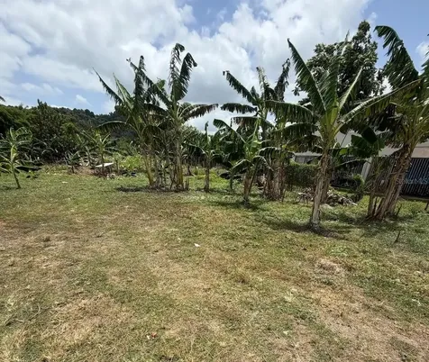 Bo. Limones Yabucoa PR 00767