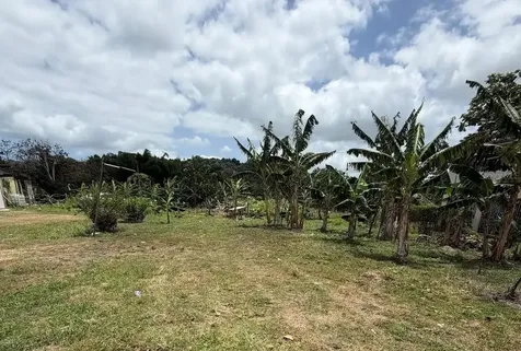 Bo. Limones Yabucoa PR 00767