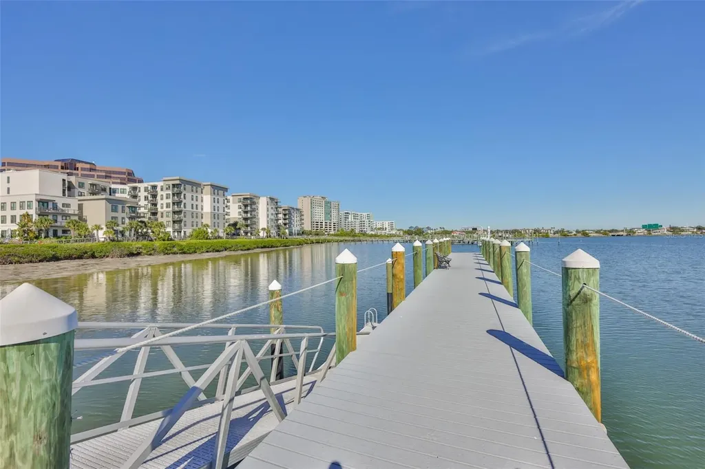 3202 Bay Club Circle Tampa FL 33607