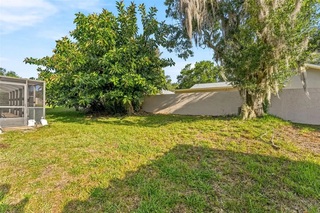 3969 Talah Drive Palm Harbor FL 34684