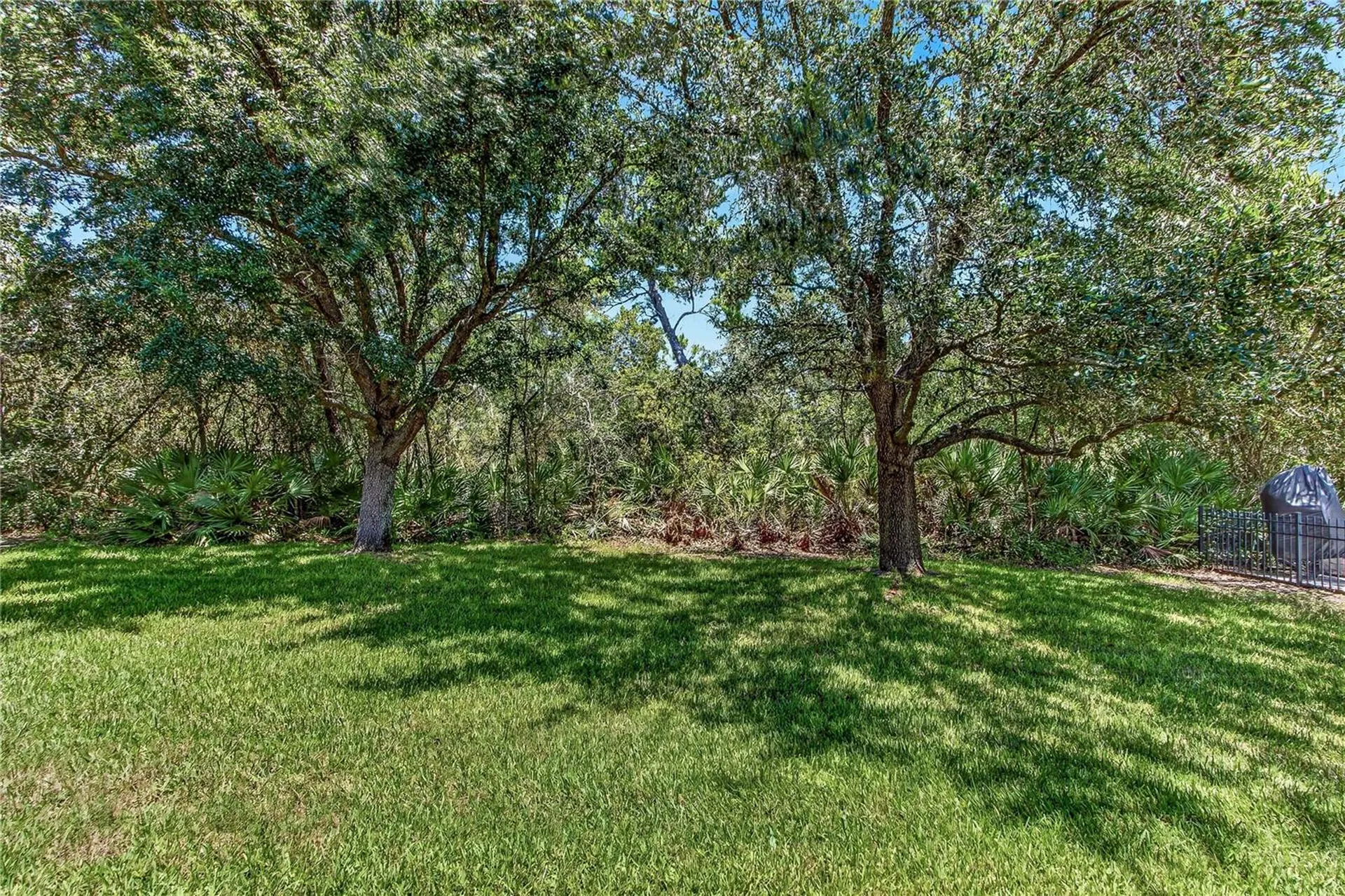 3198 Heirloom Rose Place Oviedo FL 32766