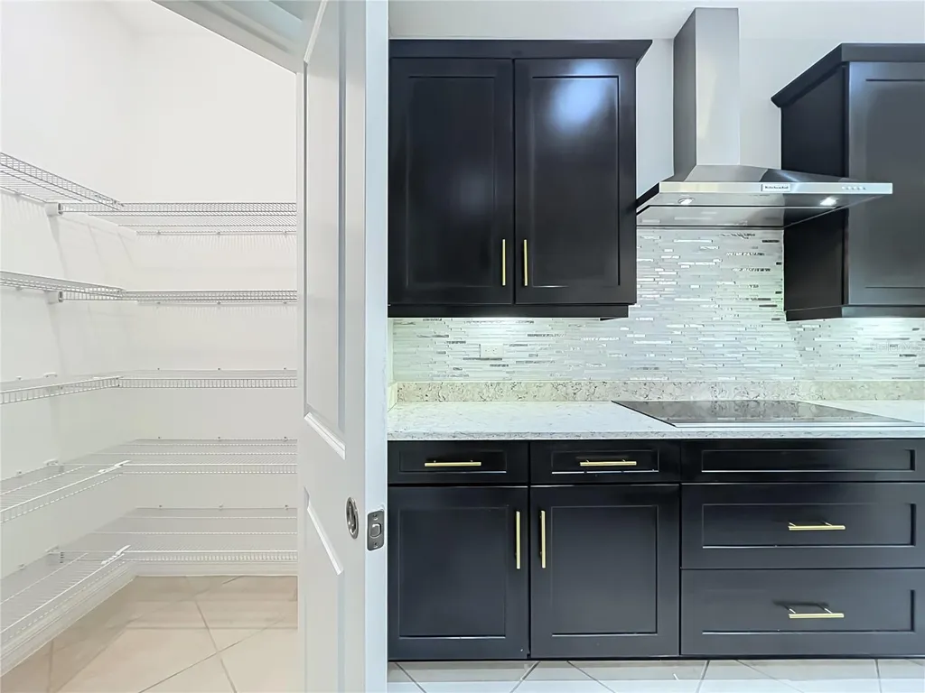 8316 Lookout Pointe Drive Windermere FL 34786