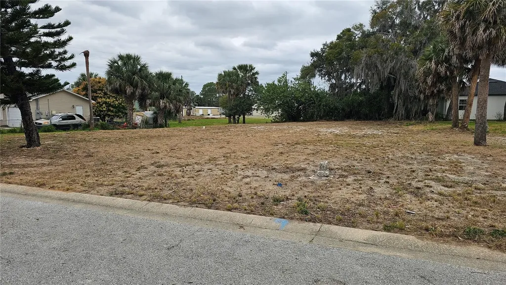 209 W Badger Avenue Eustis FL 32726