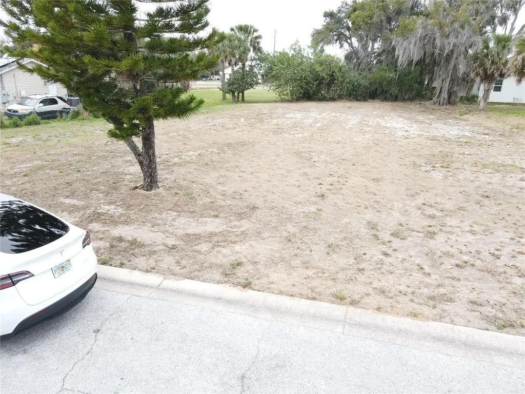 209 W Badger Avenue Eustis FL 32726