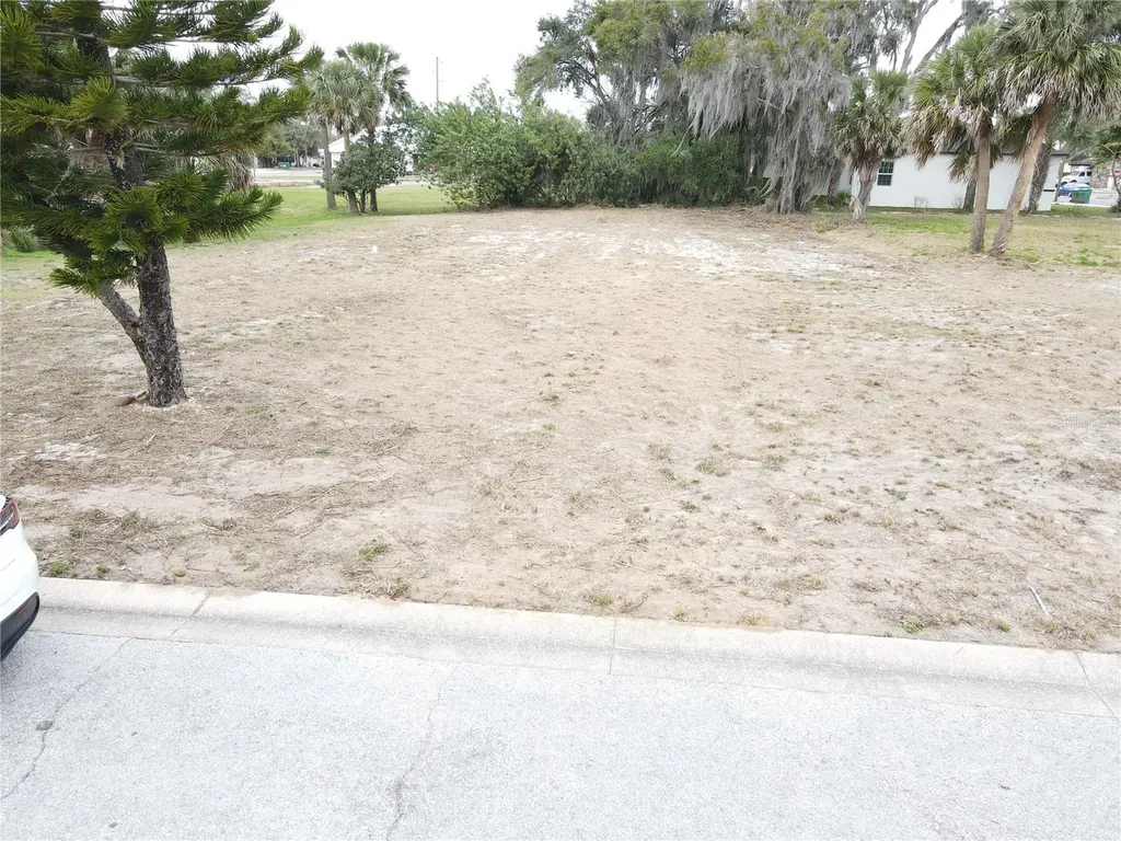 209 W Badger Avenue Eustis FL 32726