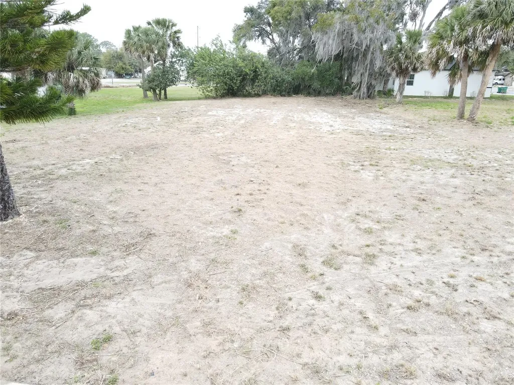 209 W Badger Avenue Eustis FL 32726