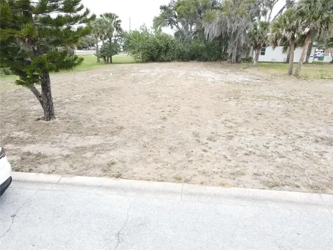 209 W Badger Avenue Eustis FL 32726