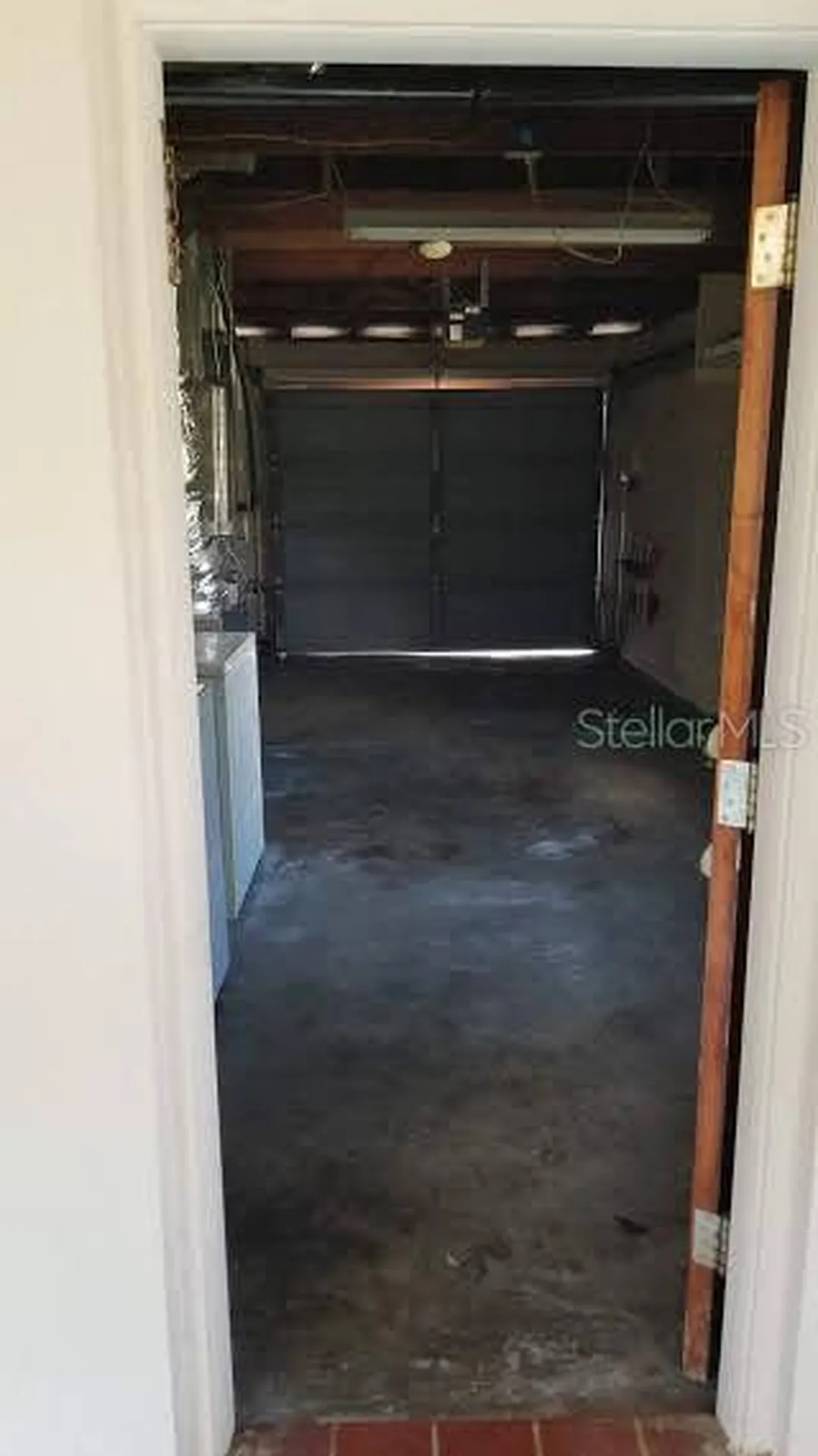 10209 N Valle Drive Tampa FL 33612
