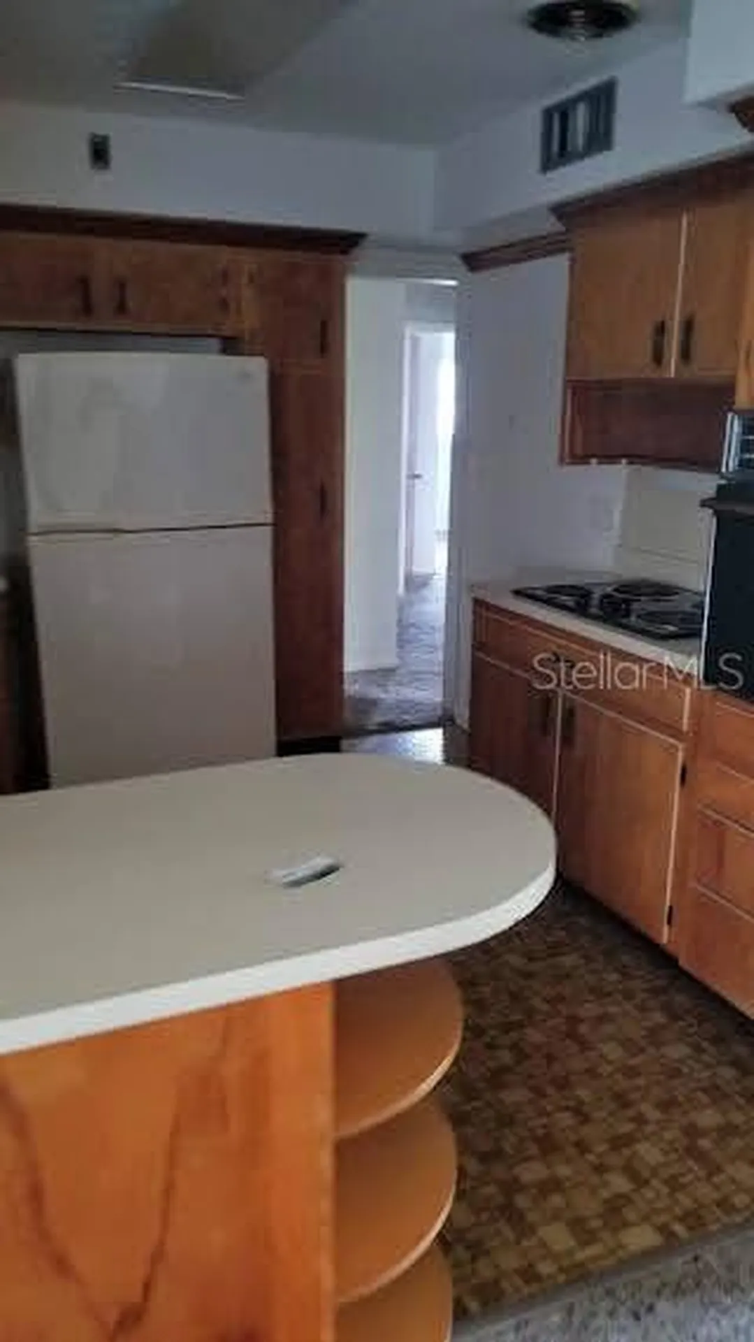 10209 N Valle Drive Tampa FL 33612