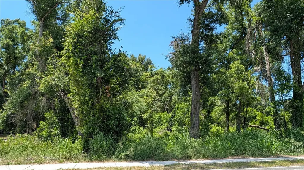 9055 Joe Ebert Road Seffner FL 33584